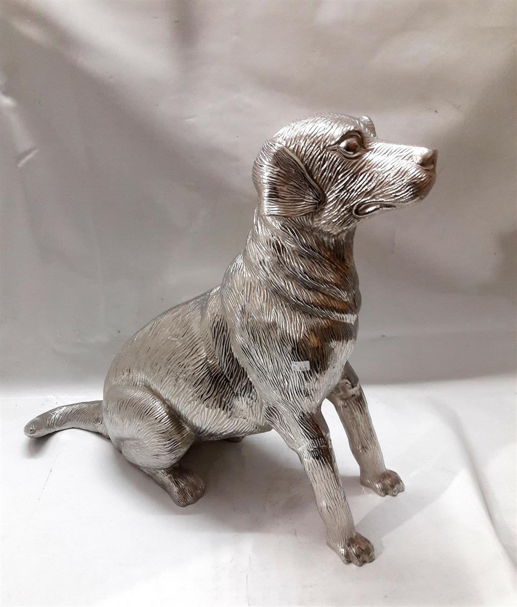 Sitted Dog